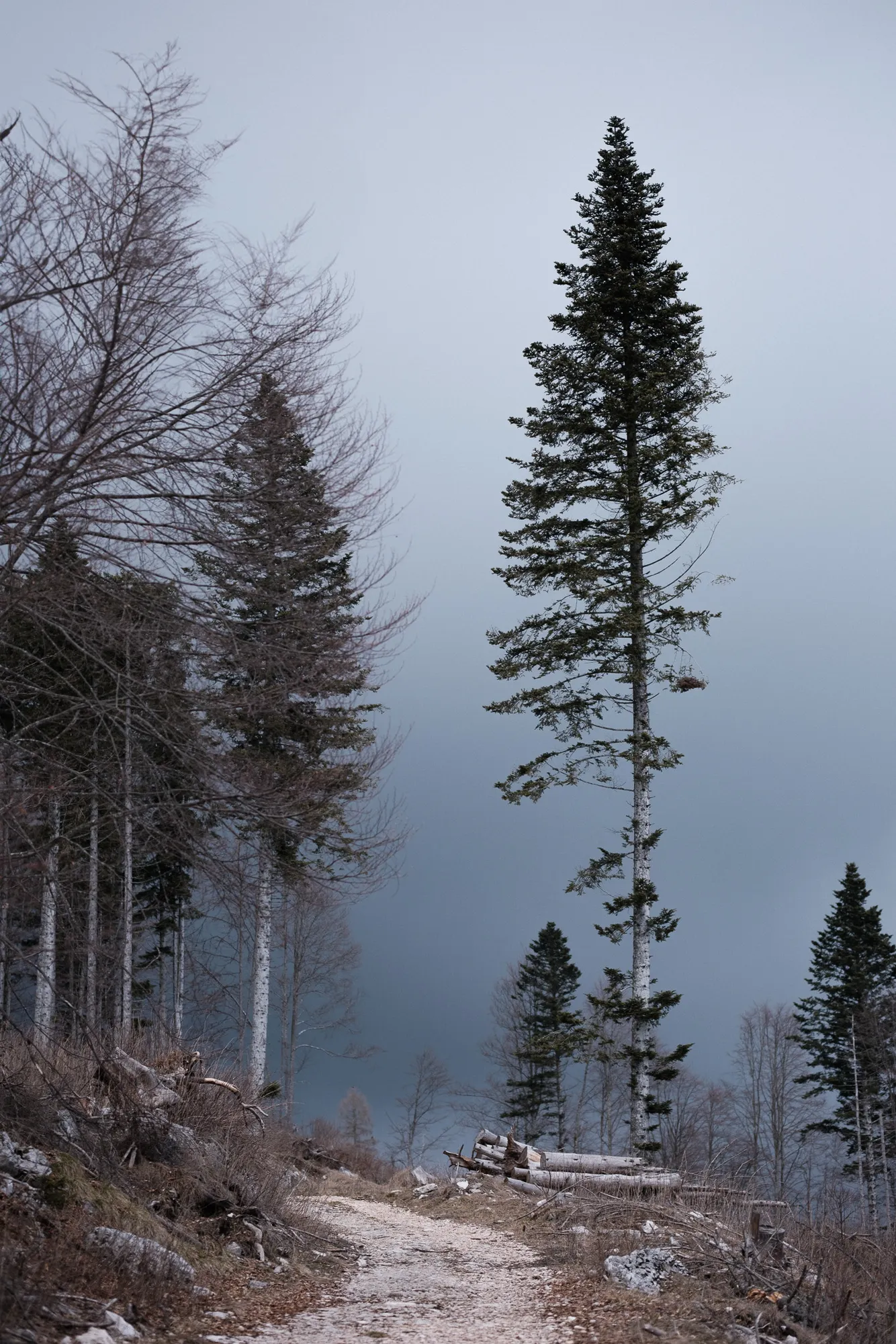A few minutes before it hailed. The light atmosphere was great. The weather during the hike less so.