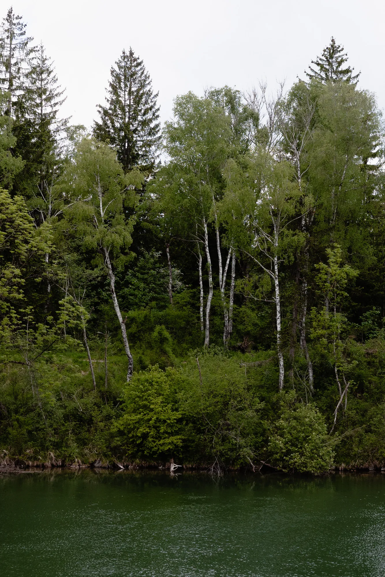 Photo from 2025-05-17